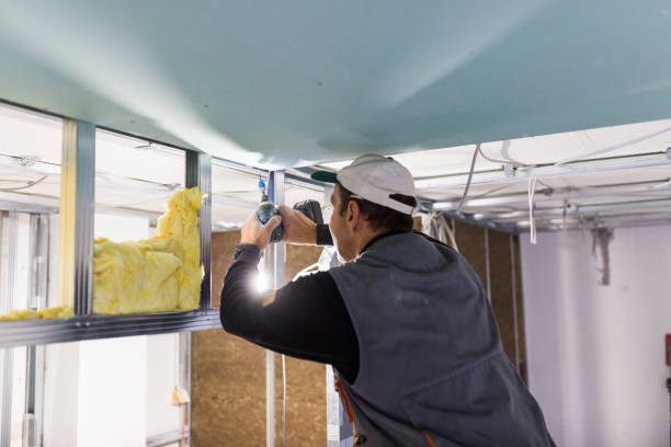 Best Insulation Maintenance and Repair in Palm Harbor, FL