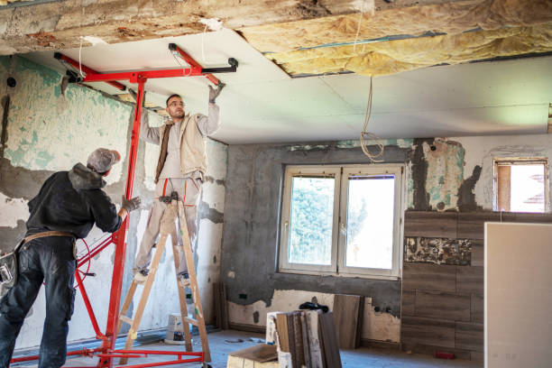 Best Residential Insulation in Palm Harbor, FL