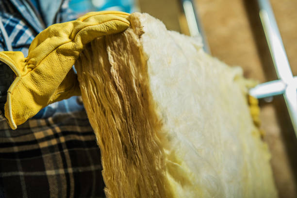Best Insulation Materials and Products in Palm Harbor, FL